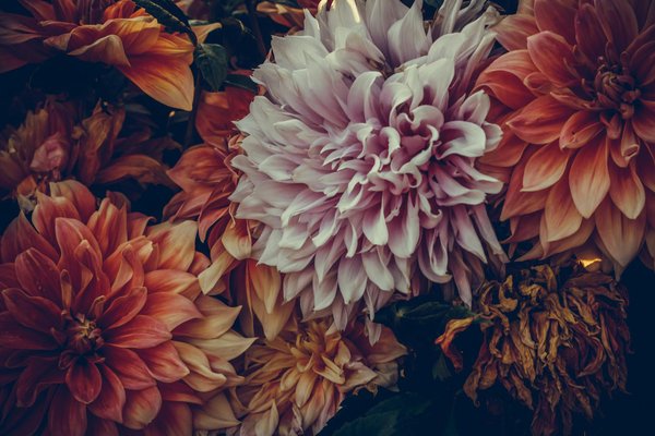 What Are the Benefits of Renovating Your Home in the UK?